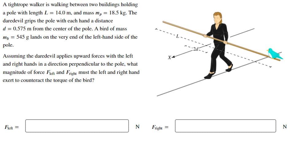 A tightrope walker is walking between two buildings holding
a pole with length L = 14.0 m, and mass m, = 18.5 kg. The
daredevil grips the pole with each hand a distance
d = 0.575 m from the center of the pole. A bird of mass
m, = 545 g lands on the very end of the left-hand side of the
pole.
2d
Assuming the daredevil applies upward forces with the left
and right hands in a direction perpendicular to the pole, what
magnitude of force Fieft and Fright must the left and right hand
exert to counteract the torque of the bird?
Fieft =
N
Fright
N
