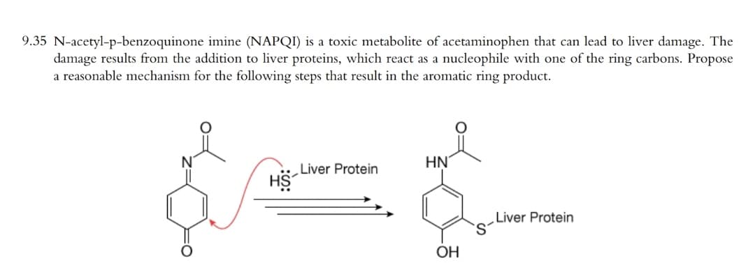 9.35 N-acetyl-p-benzoquinone imine (NAPQI) is a toxic metabolite of acetaminophen that can lead to liver damage. The
damage results from the addition to liver proteins, which react as a nucleophile with one of the ring carbons. Propose
a reasonable mechanism for the following steps that result in the aromatic ring product.
N'
HN
Liver Protein
H$
Liver Protein
ОН
