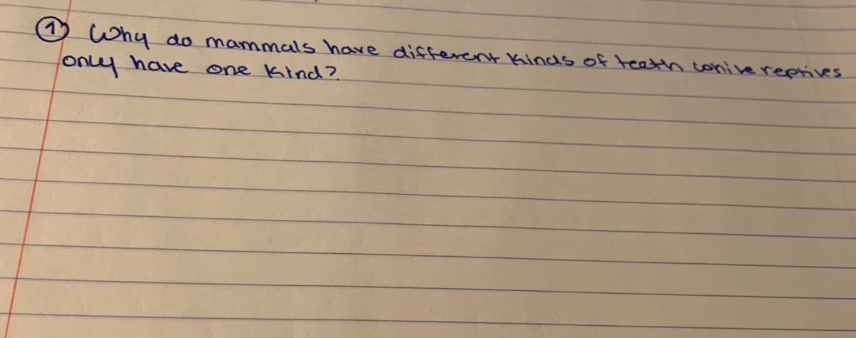 @ why
do mammals have different Kincs of teath conive reptives
ony
have one Kind?
