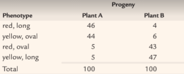 Progeny
Phenotype
Plant A
Plant B
red, long
yellow, oval
red, oval
yellow, long
46
4
44
6.
5
43
5
47
Total
100
100
