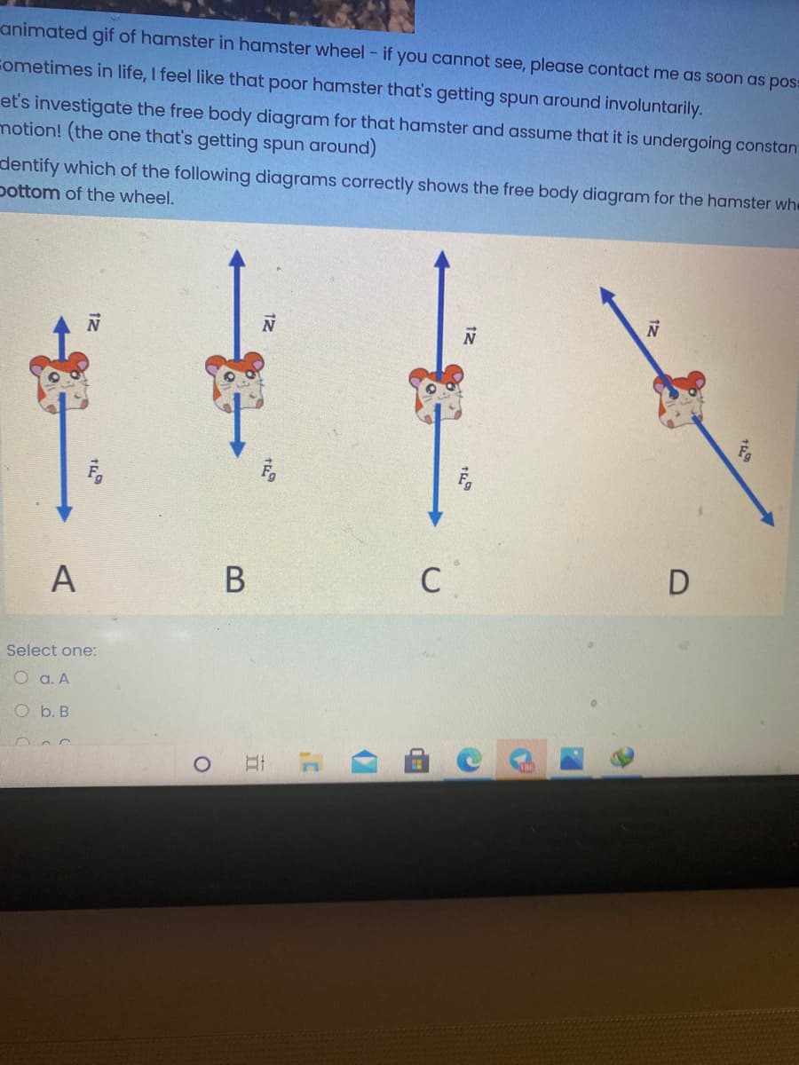 animated gif of hamster in hamster wheel - if you cannot see, please contact me as soon as pos:
Cometimes in life, I feel like that poor hamster that's getting spun around involuntarily.
et's investigate the free body diagram for that hamster and assume that it is undergoing constan:
motion! (the one that's getting spun around)
dentify which of the following diagrams correctly shows the free body diagram for the hamster whe
pottom of the wheel.
A
B
C
Select one:
O a. A
O b. B
12
