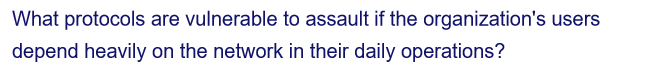 What protocols are vulnerable to assault if the organization's users
depend heavily on the network in their daily operations?