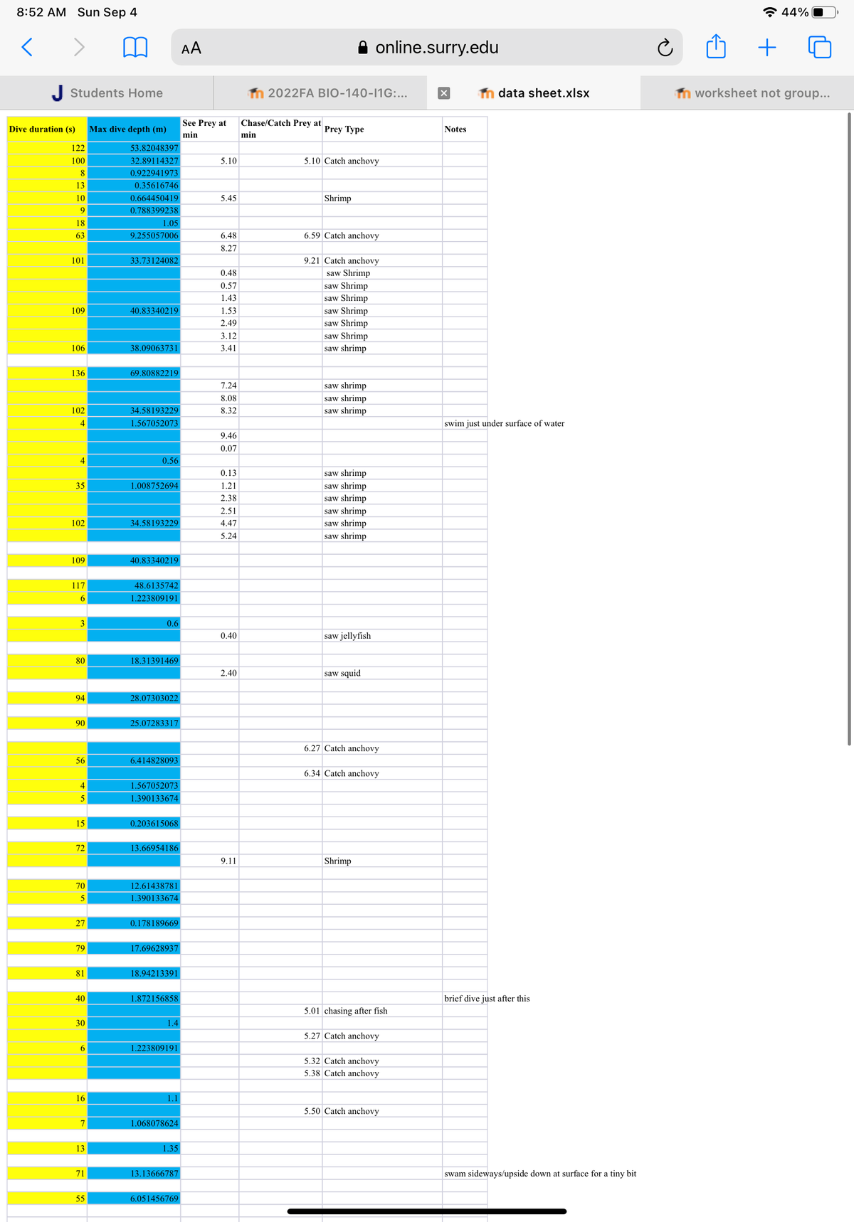8:52 AM Sun Sep 4
<
J Students Home
Dive duration (s) Max dive depth (m)
53.82048397
32.89114327
0.922941973
0.35616746
122
100
8
13
10
9
18
63
101
109
106
136
102
4
4
35
102
109
117
6
3
80
94
90
56
4
5
15
72
70
5
27
79
81
40
30
6
16
7
13
71
55
0.664450419
0.788399238
1.05
9.255057006
33.73124082
40.83340219
38.09063731
69.80882219
34.58193229
1.567052073
0.56
1.008752694
34.58193229
40.83340219
48.6135742
1.223809191
0.6
18.31391469
28.07303022
25.07283317
6.414828093
1.567052073
1.390133674
0.203615068
13.66954186
12.61438781
1.390133674
0.178189669
17.69628937
18.94213391
1.872156858
1.4
1.223809191
1.1
1.068078624
1.35
13.13666787
6.051456769
AA
See Prey at
min
5.10
5.45
6.48
8.27
0.48
0.57
1.43
1.53
2.49
3.12
3.41
7.24
8.08
8.32
9.46
0.07
0.13
1.21
2.38
2.51
4.47
5.24
0.40
2.40
9.11
Chase/Catch Prey at
min
2022FA BIO-140-11G:...
Prey Type
5.10 Catch anchovy
Shrimp
6.59 Catch anchovy
9.21 Catch anchovy
saw Shrimp
saw Shrimp
saw Shrimp
saw Shrimp
saw Shrimp
saw Shrimp
saw shrimp
saw shrimp
saw shrimp
saw shrimp
online.surry.edu
saw shrimp
saw shrimp
saw shrimp
saw shrimp
saw shrimp
saw shrimp
saw jellyfish
saw squid
6.27 Catch anchovy
6.34 Catch anchovy
Shrimp
5.01 chasing after fish
5.27 Catch anchovy
5.32 Catch anchovy
5.38 Catch anchovy
5.50 Catch anchovy
X
Notes
Tn data sheet.xlsx
swim just under surface of water
brief dive just after this
swam sideways/upside down at surface for a tiny bit
+
44%
in worksheet not group...