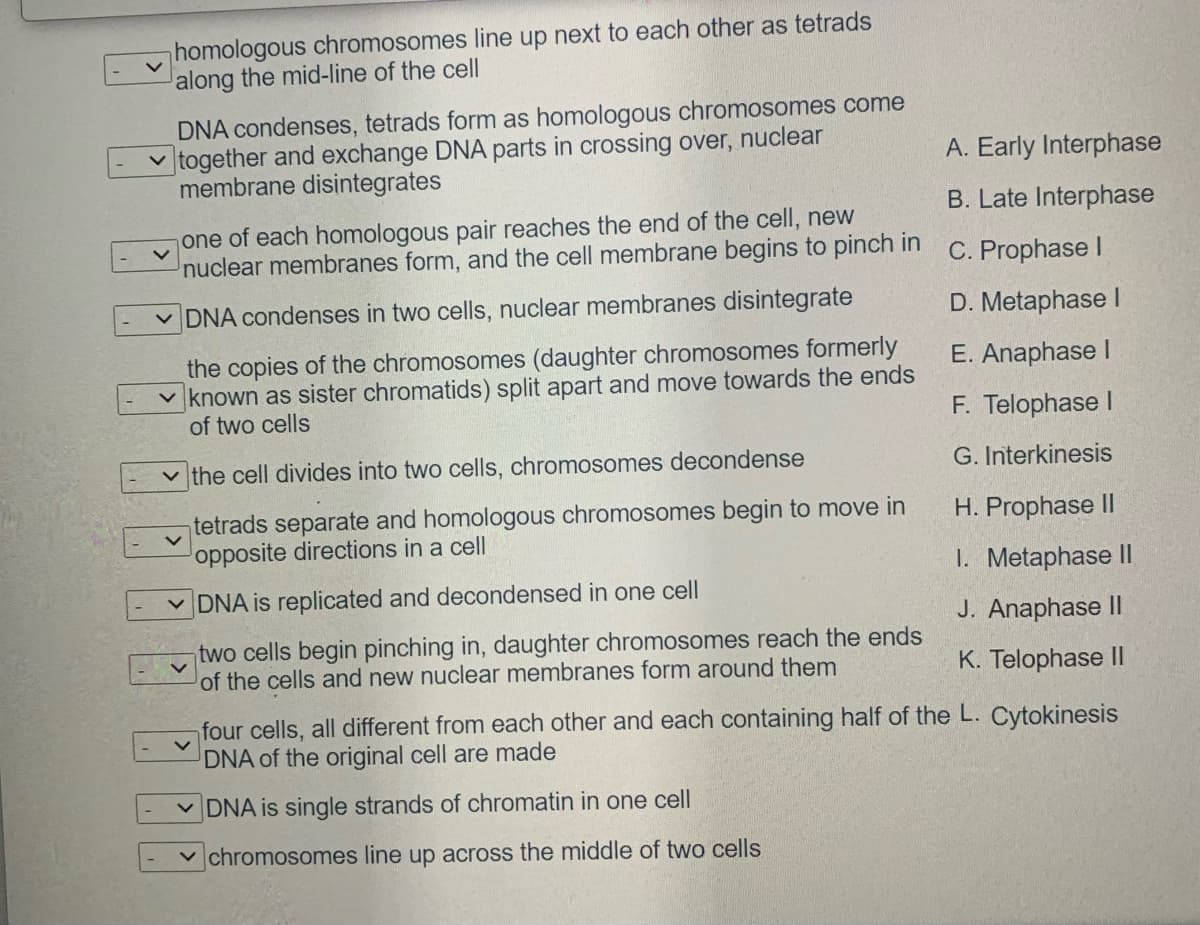 homologous chromosomes line up next to each other as tetrads
along the mid-line of the cell
DNA condenses, tetrads form as homologous chromosomes come
together and exchange DNA parts in crossing over, nuclear
membrane disintegrates
A. Early Interphase
B. Late Interphase
one of each homologous pair reaches the end of the cell, new
nuclear membranes form, and the cell membrane begins to pinch in
C. Prophase I
v DNA condenses in two cells, nuclear membranes disintegrate
D. Metaphase I
the copies of the chromosomes (daughter chromosomes formerly
v known as sister chromatids) split apart and move towards the ends
of two cells
E. Anaphase I
F. Telophase I
v the cell divides into two cells, chromosomes decondense
G. Interkinesis
tetrads separate and homologous chromosomes begin to move in
opposite directions in a cell
H. Prophase II
I. Metaphase II
v DNA is replicated and decondensed in one cell
J. Anaphase II
two cells begin pinching in, daughter chromosomes reach the ends
of the cells and new nuclear membranes form around them
K. Telophase II
four cells, all different from each other and each containing half of the L. Cytokinesis
DNA of the original cell are made
v DNA is single strands of chromatin in one cell
v chromosomes line up across the middle of two cells
