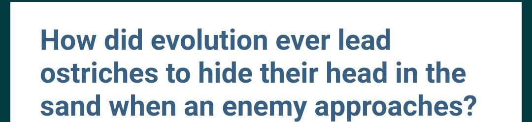 How did evolution ever lead
ostriches to hide their head in the
sand when an enemy approaches?
