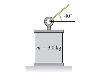 40°
m = 3.0 kg
