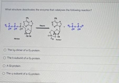 What structure deactivates the enzyme that catalyses the following reaction?
do de de
de de
O The bg-dimer of a G-protein.
O The b-subunit of a G-protein.
O A Gi-protein.
O The a-subunit of a G-protein.
