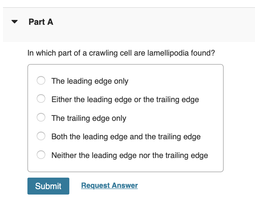 Part A
In which part of a crawling cell are lamellipodia found?
The leading edge only
Either the leading edge or the trailing edge
The trailing edge only
Both the leading edge and the trailing edge
Neither the leading edge nor the trailing edge
Submit
Request Answer
