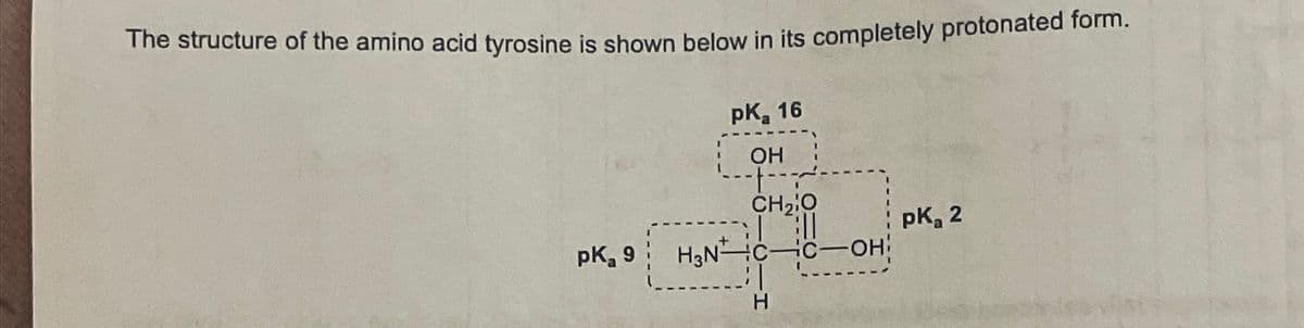 The structure of the amino acid tyrosine is shown below in its completely protonated form.
PK 16
OH
CH2O
: ד
pK₂ 2
PK 9
H₂N C-C-OH
H