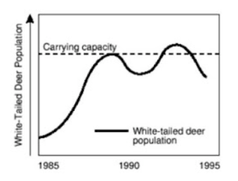 Carrying capacity
White-tailed deer
population
1985
1990
1995
White-Tailed Deer Population
