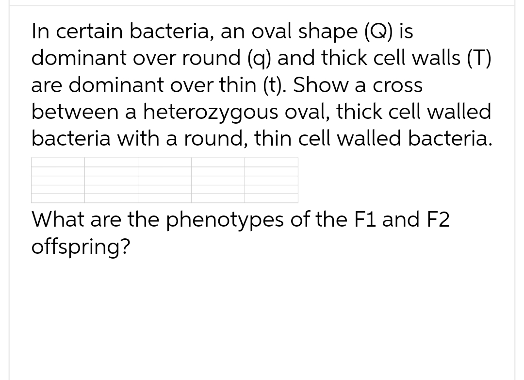In certain bacteria, an oval shape (Q) is
dominant over round (g) and thick cell walls (T)
are dominant over thin (t). Show a cross
between a heterozygous oval, thick cell walled
bacteria with a round, thin cell walled bacteria.
What are the phenotypes of the F1 and F2
offspring?
