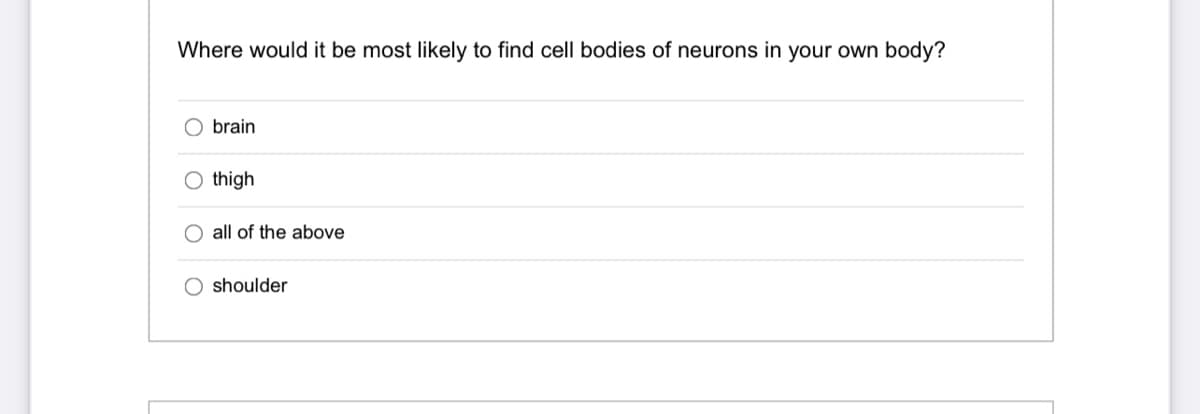 Where would it be most likely to find cell bodies of neurons in your own body?
brain
thigh
all of the above
O shoulder
