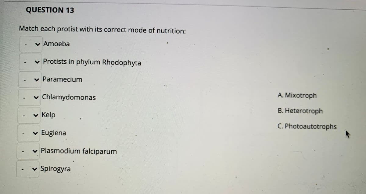 QUESTION 13
Match each protist with its correct mode of nutrition:
v Amoeba
v Protists in phylum Rhodophyta
v Paramecium
v Chlamydomonas
A. Mixotroph
B. Heterotroph
v Kelp
C. Photoautotrophs
v Euglena
v Plasmodium falciparum
v Spirogyra
3D
%3D

