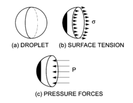 (a) DROPLET (b) SURFACE TENSION
(c) PRESSURE FORCES
P.
