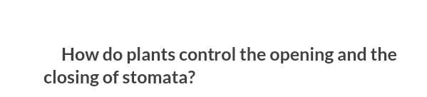 How do plants control the opening and the
closing of stomata?
