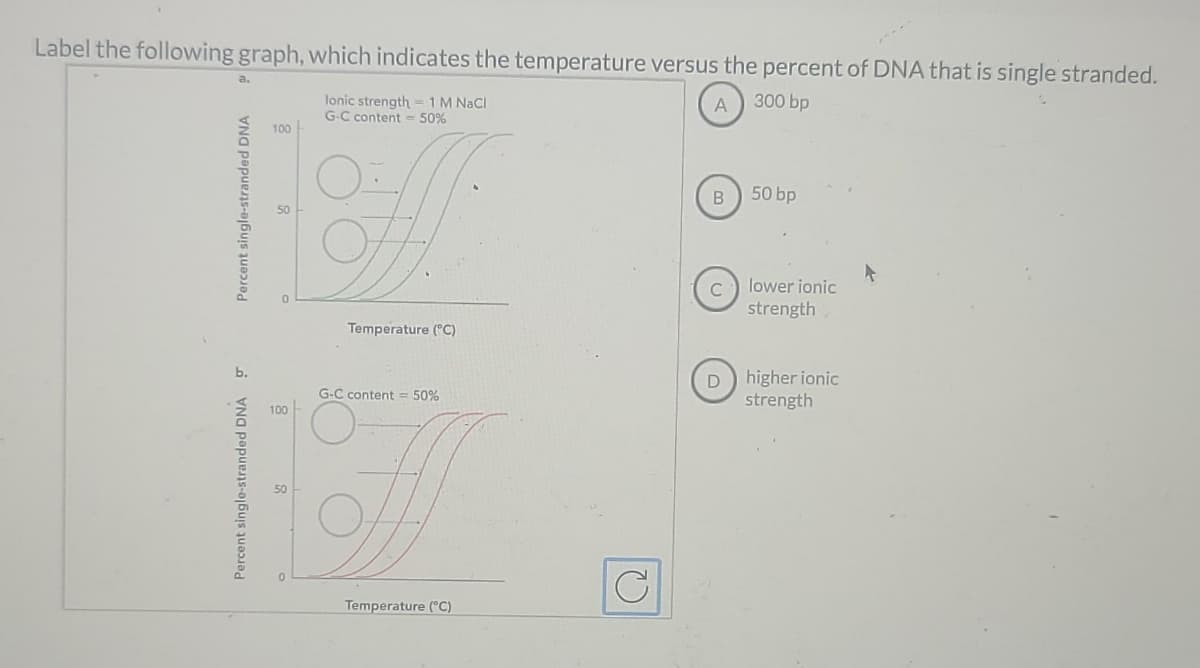 Label the following graph, which indicates the temperature versus the percent of DNA that is single stranded.
A
300 bp
a.
Percent single-stranded DNA
Percent single-stranded DNA σ
100
100
50
lonic strength = 1 M NaCl
G-C content= 50%
Temperature (°C)
G-C content = 50%
J
Temperature (°C)
(2
B
C
50 bp
lower ionic
strength
D higher ionic
strength
