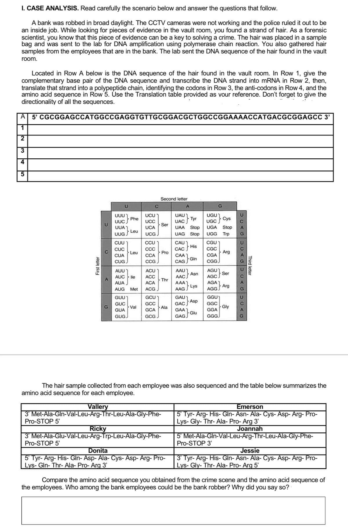 I. CASE ANALYSIS. Read carefully the scenario below and answer the questions that follow.
A bank was robbed in broad daylight. The CCTV cameras were not working and the police ruled it out to be
an inside job. While looking for pieces of evidence in the vault room, you found a strand of hair. As a forensic
scientist, you know that this piece of evidence can be a key to solving a crime. The hair was placed in a sample
bag and was sent to the lab for DNA amplification using polymerase chain reaction. You also gathered hair
samples from the employees that are in the bank. The lab sent the DNA sequence of the hair found in the vault
room.
Located in Row A below is the DNA sequence of the hair found in the vault room. In Row 1, give the
complementary base pair of the DNA sequence and transcribe the DNA strand into mRNA in Row 2, then,
translate that strand into a polypeptide chain, identifying the codons in Row 3, the anti-codons in Row 4, and the
amino acid sequence in Row 5. Úse the Translation table provided as vour reference. Don't forget to give the
directionality of all the sequences.
A
5' CGCGGAGCCATGGCCGAGGTGTTGCGGACGCTGGCCGGAAAACCATGACGCGGAGCC 3'
1
2
3
4
Second letter
C
G
UUU
UCU )
UAU
UGU
UAC Tyr
Ser
Phe
UUC
U
UUA )
UCC
UGC
C
UCA
UAA Stop
UGA
Stop
Leu
UUG
UCG J
UAG Stop
UGG
Trp
CUU
CAU )
His
CAC S
CCU
CGU
CUC
ССС
CGC
Leu
Pro
Arg
CAA)
Gin
CAG
CUA
CCA
CGA
CUG
CCG
CGG)
AAU
Asn
AACJ
AGU)
Ser
AUU
ACU
AUC
lle
ACC
AGC
Thr
AGA)
Arg
AGG
ACA
AAA)
Lys
AAG S
AUA
AUG
Met
ACG J
GGU
GAU1
Asp
GUU
GCU
U
GGC
GUC
Val
GUA
GCC
GAC
Ala
Gly
GCA
GAA)
Glu
GGA
GUG
GAG G
GGG.
GCG
The hair sample collected from each employee was also sequenced and the table below summarizes the
amino acid sequence for each employee.
Vallery
Emerson
3' Met-Ala-Gln-Val-Leu-Arg-Thr-Leu-Ala-Gly-Phe-
Pro-STOP 5'
5' Tyr- Arg- His- Gln- Asn- Ala- Cys- Asp- Arg- Pro-
Lys- Gly- Thr- Ala- Pro- Arg 3'
Ricky
Joannah
3' Met-Ala-Glu-Val-Leu-Arg-Trp-Leu-Ala-Gly-Phe-
Pro-STOP 5'
5 Met-Ala-GIn-Val-Leu-Arg-Thr-Leu-Ala-Gly-Phe-
Pro-STOP 3'
Donita
Jessie
5' Tyr- Arg- His- Gln- Asp- Ala- Cys- Asp- Arg- Pro-
Lys- Gln- Thr- Ala- Pro- Arg 3'
3' Tyr- Arg- His- Gln- Asn- Ala- Cys- Asp- Arg- Pro-
Lys- Gly- Thr- Ala- Pro- Arg 5'
Compare the amino acid sequence you obtained from the crime scene and the amino acid sequence of
the employees. Who among the bank employees could be the bank robber? Why did you say so?
First letter
