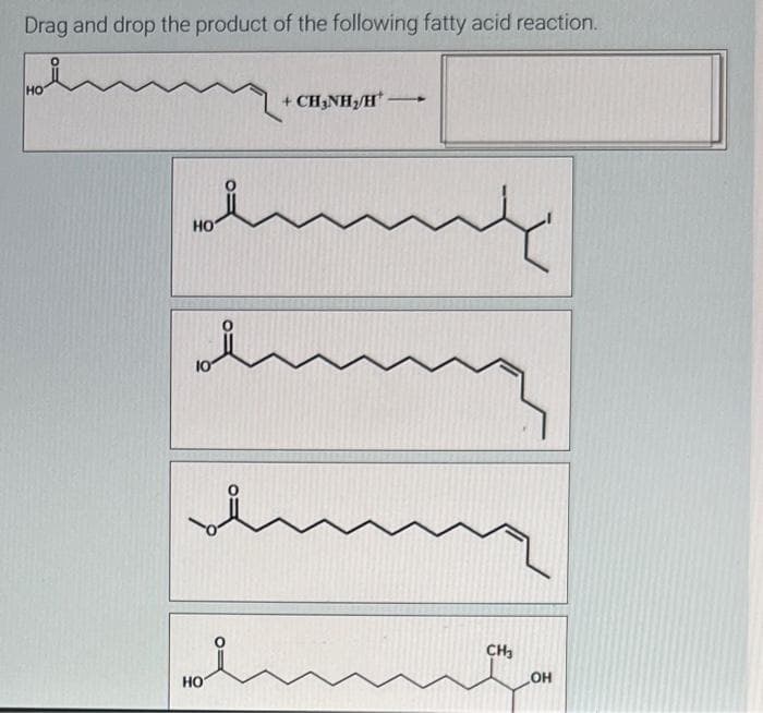 Drag and drop the product of the following fatty acid reaction.
HO
HOT
요
10
+ CH,NH,/H*
سلام
mi
HOT
CH₂
OH