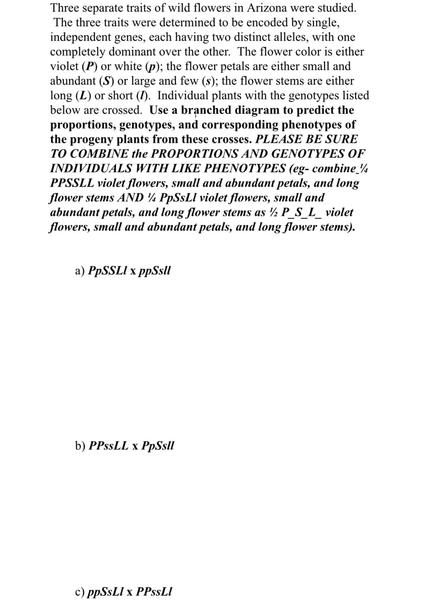 Three separate traits of wild flowers in Arizona were studied.
The three traits were determined to be encoded by single,
independent genes, each having two distinct alleles, with one
completely dominant over the other. The flower color is either
violet (P) or white (p); the flower petals are either small and
abundant (S) or large and few (s); the flower stems are either
long (L) or short (I). Individual plants with the genotypes listed
below are crossed. Use a branched diagram to predict the
proportions, genotypes, and corresponding phenotypes of
the progeny plants from these crosses. PLEASE BE SURE
TO COMBINE the PROPORTIONS AND GENOTYPES OF
INDIVIDUALS WITH LIKE PHENOTYPES (eg- combine_¼
PPSSLL violet flowers, small and abundant petals, and long
flower stems AND ¼ PPSSLI violet flowers, small and
abundant petals, and long flower stems as ½ P_S_L_ violet
flowers, small and abundant petals, and long flower stems).
a) PPSSLI x ppSsll
b) PPSSLL x PpSsll
c) ppSsLl x PPSSLI
