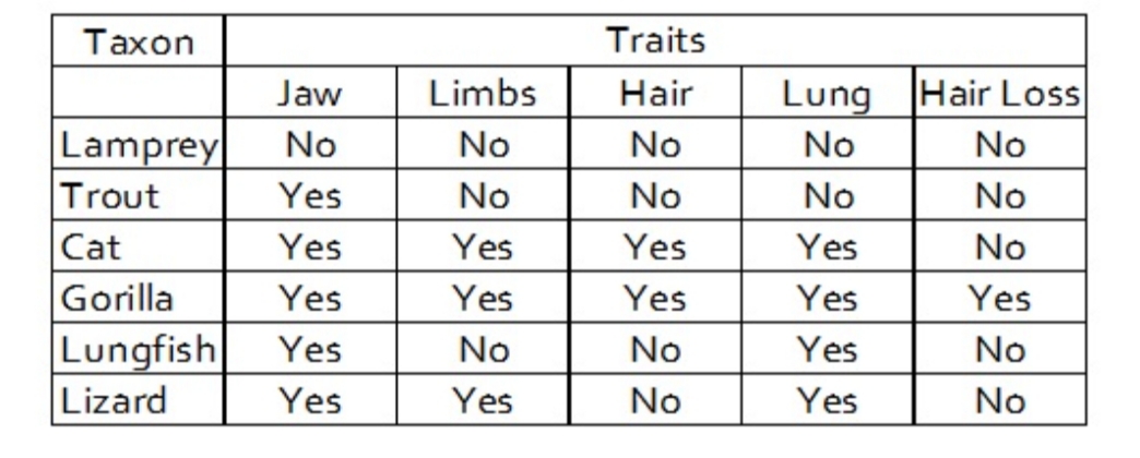 Taxon
Traits
Jaw
Limbs
Hair
Lung Hair Loss
Lamprey
Trout
Cat
No
No
No
No
No
Yes
No
No
No
No
Yes
Yes
Yes
Yes
No
Gorilla
Yes
Yes
Yes
Yes
Yes
Lungfish
Yes
No
No
Yes
No
Lizard
Yes
Yes
No
Yes
No
