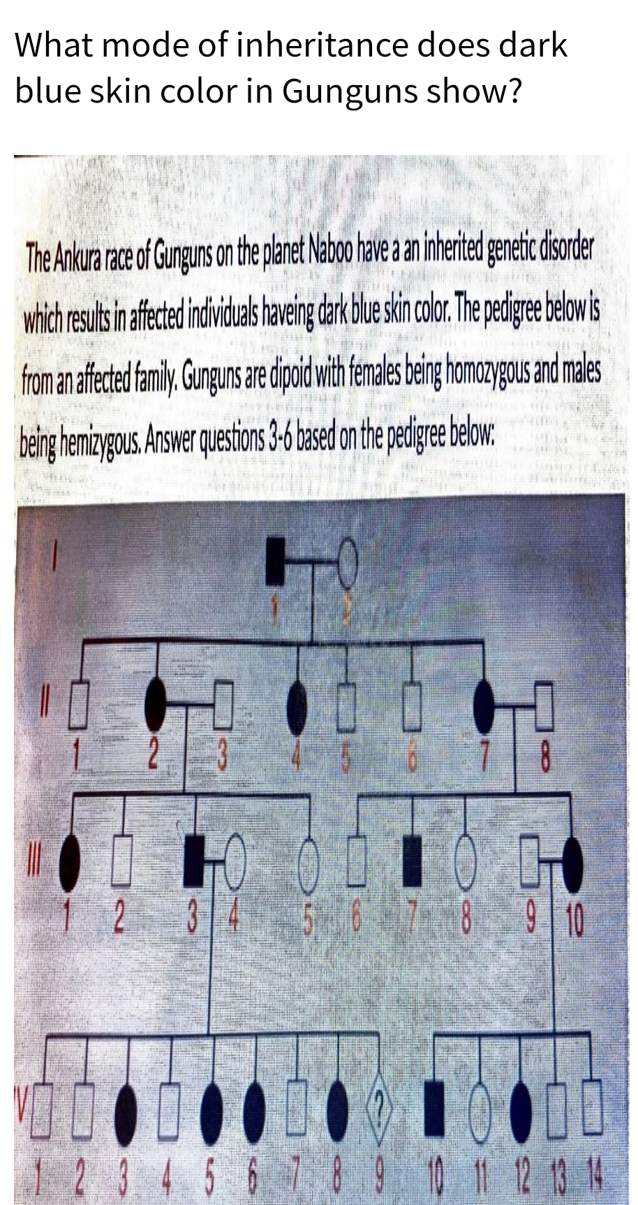 What mode of inheritance does dark
blue skin color in Gunguns show?
The Ankura race of Gunguns on the planet Naboo have a an inherited genetic disorder
which results in afiete ididuas haveing dark blue skin color.The pedigree belowis
from anafected faniy Gunguns are dpid wih females being homoazygous and males
being hemizygous. Answer questions 3-6 based on the pedigre below:
2 3
9 10
00
5 6 89 1
12 13 14
