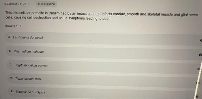 Question # 9 of 75 A
FLAG QUESTION
This intracellular parasite is transmitted by an insect bite and infects cardiac, smooth and skeletal muscle and glial nerve
cells, causing cell destruction and acute symptoms leading to death:
Answers A - E
A Leishmania donovani
B Plasmodium malariae
c Cryptosporidium parvum
D Trypanosoma cruzi
E Entamoeba histolytica
