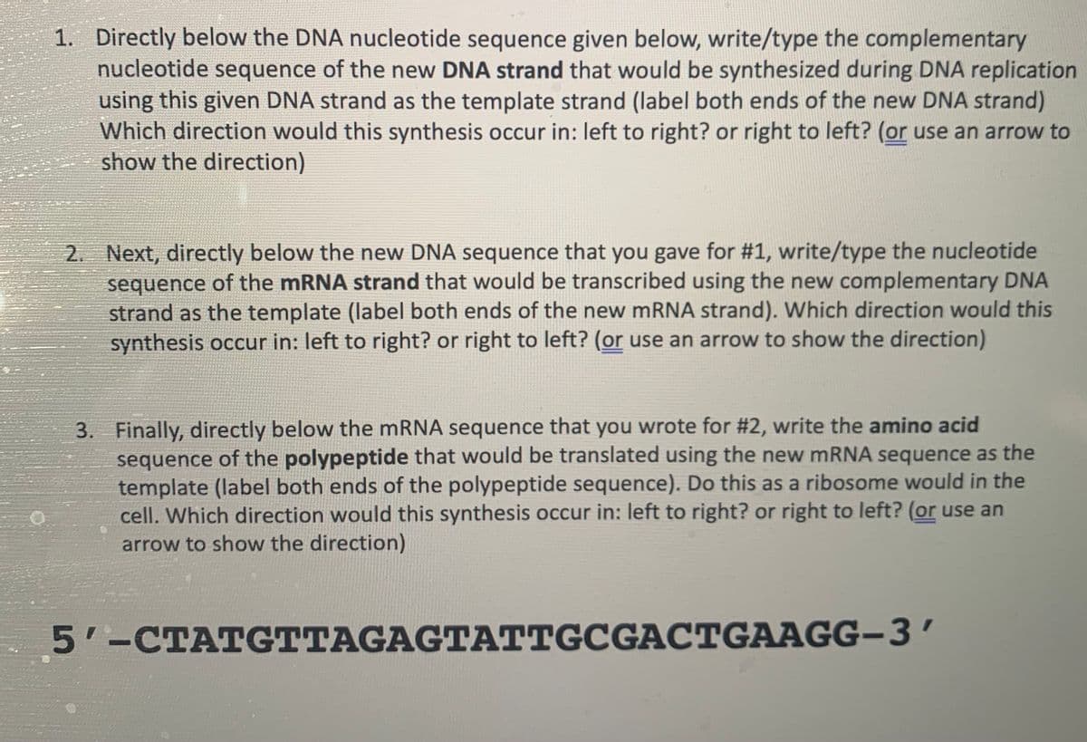1. Directly below the DNA nucleotide sequence given below, write/type the complementary
nucleotide sequence of the new DNA strand that would be synthesized during DNA replication
using this given DNA strand as the template strand (label both ends of the new DNA strand)
Which direction would this synthesis occur in: left to right? or right to left? (or use an arrow to
show the direction)
2. Next, directly below the new DNA sequence that you gave for #1, write/type the nucleotide
sequence of the mRNA strand that would be transcribed using the new complementary DNA
strand as the template (label both ends of the new mRNA strand). Which direction would this
synthesis occur in: left to right? or right to left? (or use an arrow to show the direction)
3. Finally, directly below the mRNA sequence that you wrote for #2, write the amino acid
sequence of the polypeptide that would be translated using the new mRNA sequence as the
template (label both ends of the polypeptide sequence). Do this as a ribosome would in the
cell. Which direction would this synthesis occur in: left to right? or right to left? (or use an
arrow to show the direction)
5'-CTATGTTAGAGTATTGCGA CTGAAGG-3'
