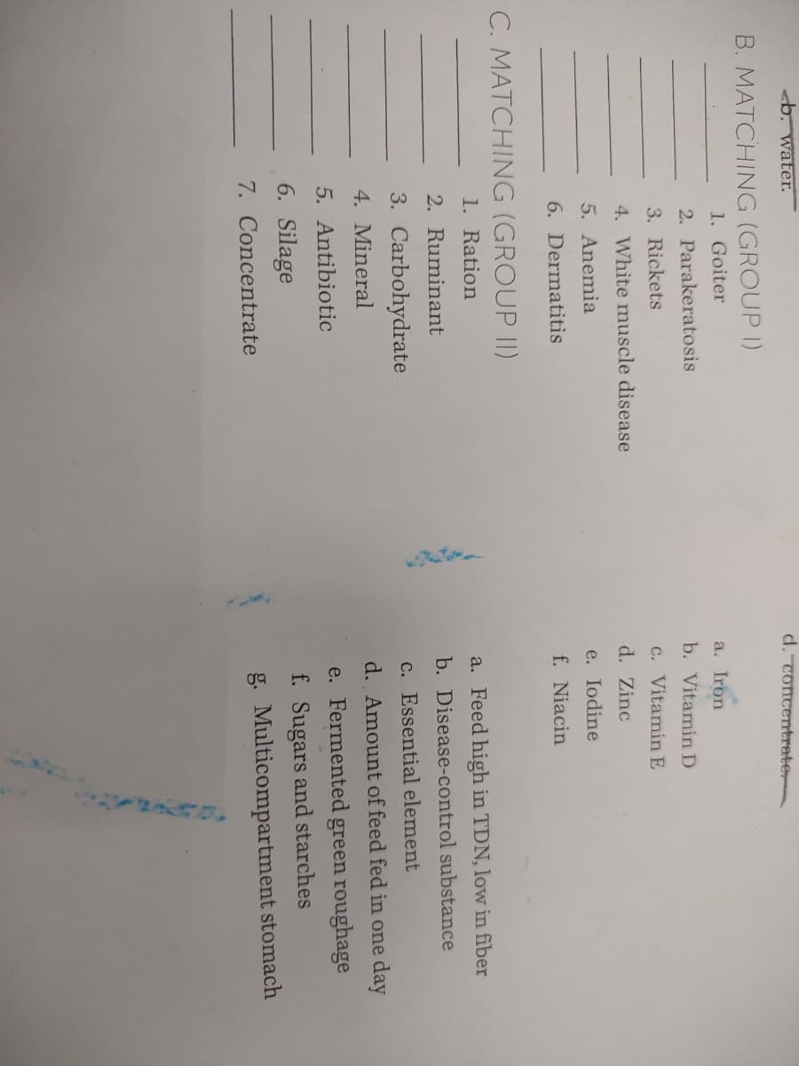 b. water.
B. MATCHING (GROUP I)
1. Goiter
2. Parakeratosis
3. Rickets
4. White muscle disease
5. Anemia
6. Dermatitis
C. MATCHING (GROUP II)
1. Ration
2. Ruminant
3. Carbohydrate
4. Mineral
5. Antibiotic
6. Silage
7. Concentrate
d. concentrate
a. Iron
b. Vitamin D
c. Vitamin E
d. Zinc
e. Iodine
f. Niacin
a. Feed high in TDN, low in fiber
b. Disease-control substance
c. Essential element
d. Amount of feed fed in one day
e. Fermented
green roughage
f. Sugars and starches
g.
Multicompartment stomach