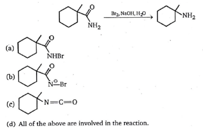Br2, NaOH, HO
NH2
NH2
NHBR
(b)
NºBr
(c)
N=C=0
(d) All of the above are involved in the reaction.
