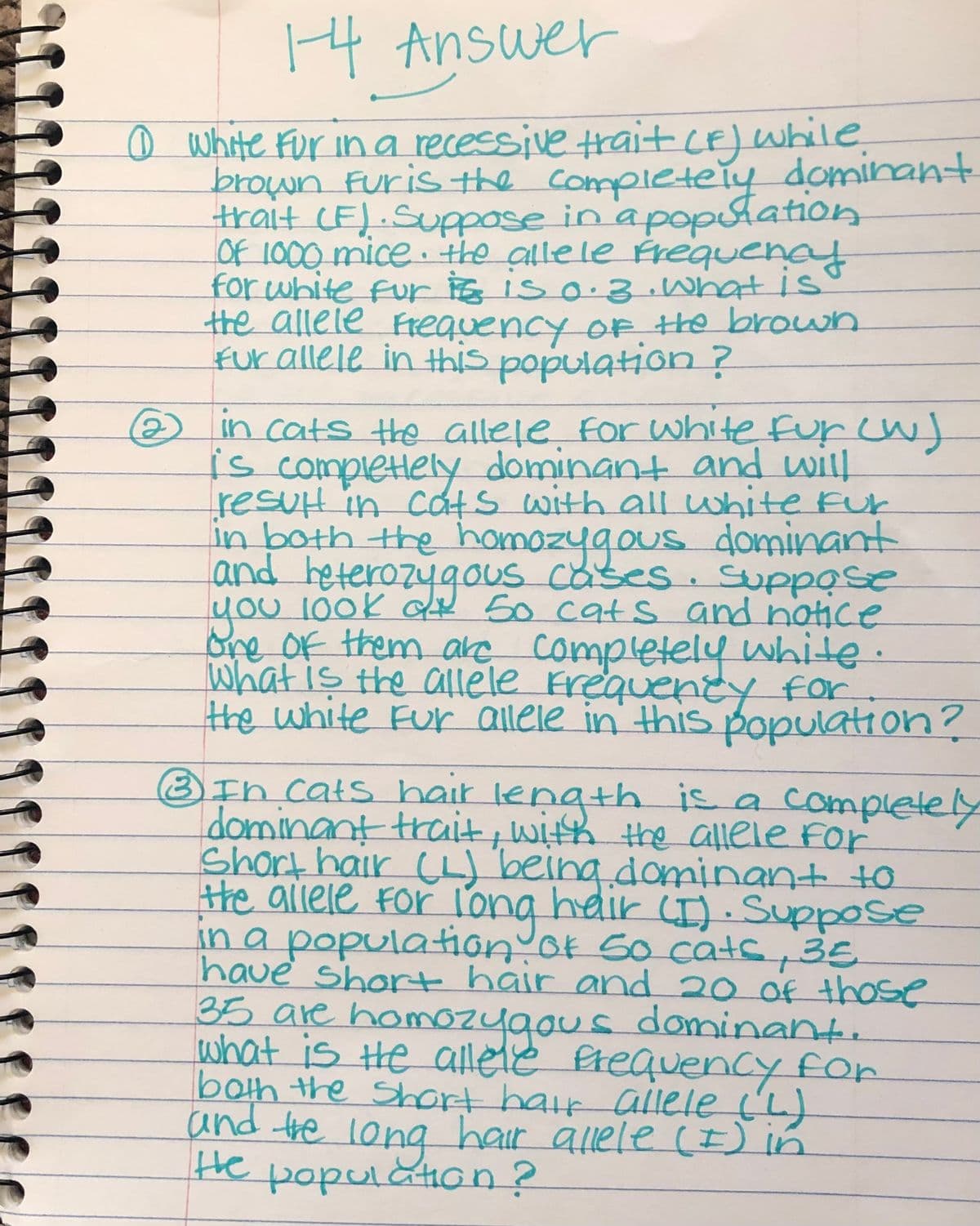 1-4 Answer
0 white for in a recessive trait (F) while.
brown Fur is the completely dominant
trait (F). Suppose in a population
OF 1000 mice. the alle le frequency
for white fur is is 0.3. What is
the allele Frequency of the brown
fur allele in this population?
2 in cats the allele for white fur (w)
is completely dominant and will
result in cats with all white fur
in both the homozygous dominant
and heterozygous cases. Suppose
you look at 50 cats and notice
one of them are completely white.
What is the allele Frequency for
the white Fur allele in this population?
3 In cats hair length is a completely
dominant trait, with the allele for
Short hair (L) being dominant to
the allele for long helir (I). Suppose
in a population of So cats, 35
have short hair and 20 of those
35 are homozygous dominant.
what is the allele frequency for
both the short hair allele (!)
and the long hair allele (I) in
the population?