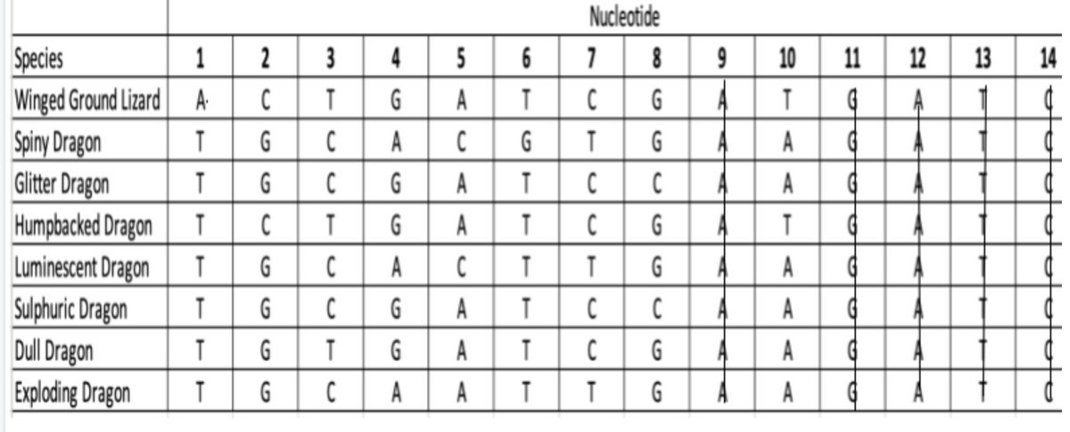 Nucleotide
Species
1
4
5
8
10
11
12
13
14
Winged Ground Lizard
Spiny Dragon
Glitter Dragon
Humpbacked Dragon
Luminescent Dragon
Sulphuric Dragon
Dull Dragon
A-
G
A
G
G
A
G
A
T
G
G
A
A
G
A
G
A
G
A
G
A
A
A
A
Exploding Dragon
G
A
A
G
A
91
9,
EU U EU
3.
2.
