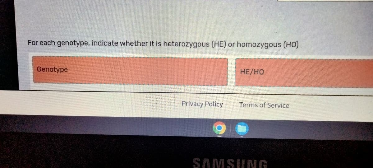 For each genotype, indicate whether it is heterozygous (HE) or homozygous (HO)
Genotype
Privacy Policy
HE/HO
Terms of Service
SAMSUNG