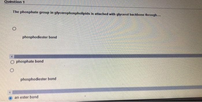 Question 1
The phosphate group in glycerophospholipids is attached with glycerol backbone through....
phosphodiester bond
phosphate bond
phosphodiester bond
an ester bond