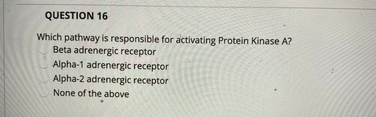 QUESTION 16
Which pathway is responsible for activating Protein Kinase A?
Beta adrenergic receptor
Alpha-1 adrenergic receptor
Alpha-2 adrenergic receptor
None of the above
