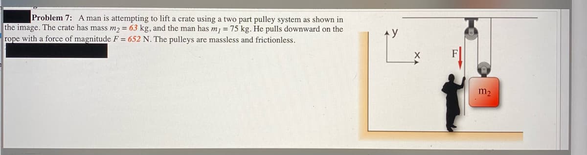 Problem 7: A man is attempting to lift a crate using a two part pulley system as shown in
the image. The crate has mass m2 = 63 kg, and the man has m, = 75 kg. He pulls downward on the
rope with a force of magnitude F = 652 N. The pulleys are massless and frictionless.
m2
