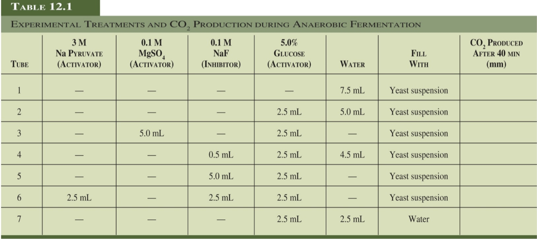 TABLE 12.1
EXPERIMENTAL TREATMENTS AND CO, PRODUCTION DURING ANAEROBIC FERMENTATION
0.1 M
MgSO,
(ACTIVATOR)
CO, PRODUCED
AFTER 40 MIN
ЗМ
Na PYRUVATE
0.1 M
5.0%
NaF
GLUCOSE
FILL
(ACTIVATOR)
TUBE
(ACTIVATOR)
(INHIBITOR)
WATER
WITH
(mm)
Yeast suspension
1
7.5 mL
Yeast suspension
2.5 mL
5.0 mL
Yeast suspension
3
5.0 mL
2.5 mL
Yeast suspension
2.5 mL
4.5 mL
4
0.5 mL
Yeast suspension
5.0 mL
2.5 mL
2.5 mL
2.5 mL
Yeast suspension
2.5 mL
6.
2.5 mL
2.5 mL
Water
