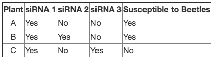 Plant SİRNA 1 SİRNA 2 SİRNA 3 Susceptible to Beetles
Yes
A Yes
No
No
B Yes
Yes
No
Yes
C Yes
No
Yes
No
