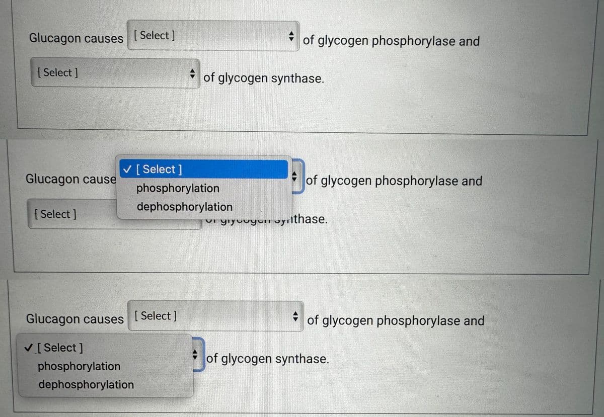 Glucagon causes [Select]
[Select]
Glucagon cause
[ Select]
✓ [Select]
phosphorylation
Glucagon causes
✓ [Select]
phosphorylation
dephosphorylation
dephosphorylation
[Select]
of glycogen synthase.
clara
of glycogen phosphorylase and
of glycogen phosphorylase and
vi giyuuyun oynithase.
of glycogen phosphorylase and
of glycogen synthase.