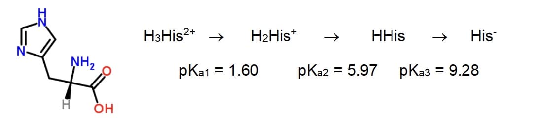 NH₂
OH
H3His²+
H₂Hist
pka1 = 1.60
HHis →>> His
pka3 = 9.28
pka2 = 5.97