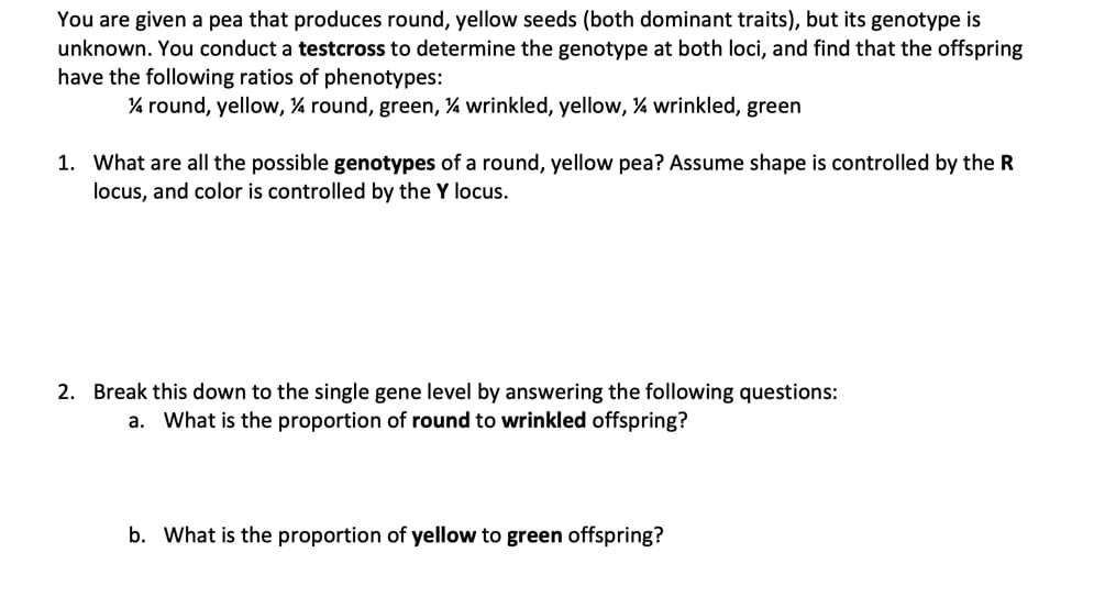 You are given a pea that produces round, yellow seeds (both dominant traits), but its genotype is
unknown. You conduct a testcross to determine the genotype at both loci, and find that the offspring
have the following ratios of phenotypes:
% round, yellow, % round, green, ¼ wrinkled, yellow, % wrinkled, green
1. What are all the possible genotypes of a round, yellow pea? Assume shape is controlled by the R
locus, and color is controlled by the Y locus.
2. Break this down to the single gene level by answering the following questions:
a. What is the proportion of round to wrinkled offspring?
b. What is the proportion of yellow to green offspring?
