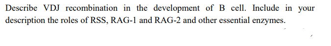 Describe VDJ recombination in the development of B cell. Include in your
description the roles of RSS, RAG-1 and RAG-2 and other essential enzymes.
