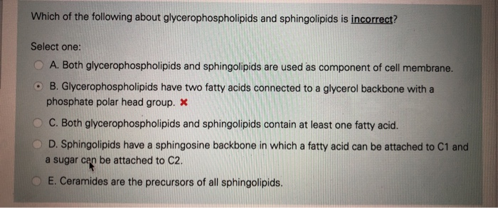 Which of the following about glycerophospholipids and sphingolipids is incorrect?
Select one:
A. Both glycerophospholipids and sphingolipids are used as component of cell membrane.
OB. Glycerophospholipids have two fatty acids connected to a glycerol backbone with a
phosphate polar head group. *
C. Both glycerophospholipids and sphingolipids contain at least one fatty acid.
D. Sphingolipids have a sphingosine backbone in which a fatty acid can be attached to C1 and
a sugar can be attached to C2.
E. Ceramides are the precursors of all sphingolipids.