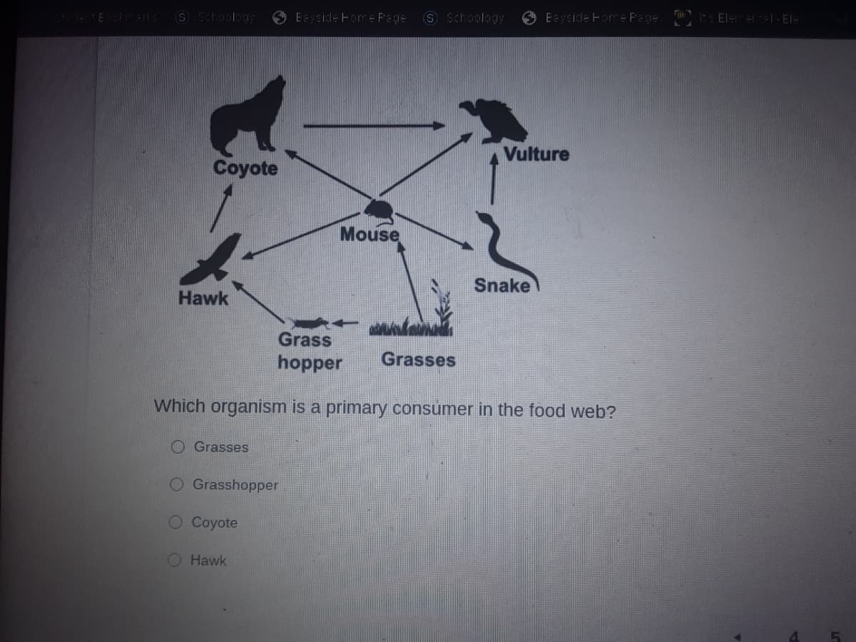 iraks
S Schoolkgy
Eyside Fomre F'egie
S Schoology
Eyside Fome Pege
Elereel- ElI-
Vulture
Coyote
Mouse
Snake
Hawk
Grass
hopper
Grasses
Which organism is a primary consumer in the food web?
Grasses
O Grasshopper
Coyote
Hawk
