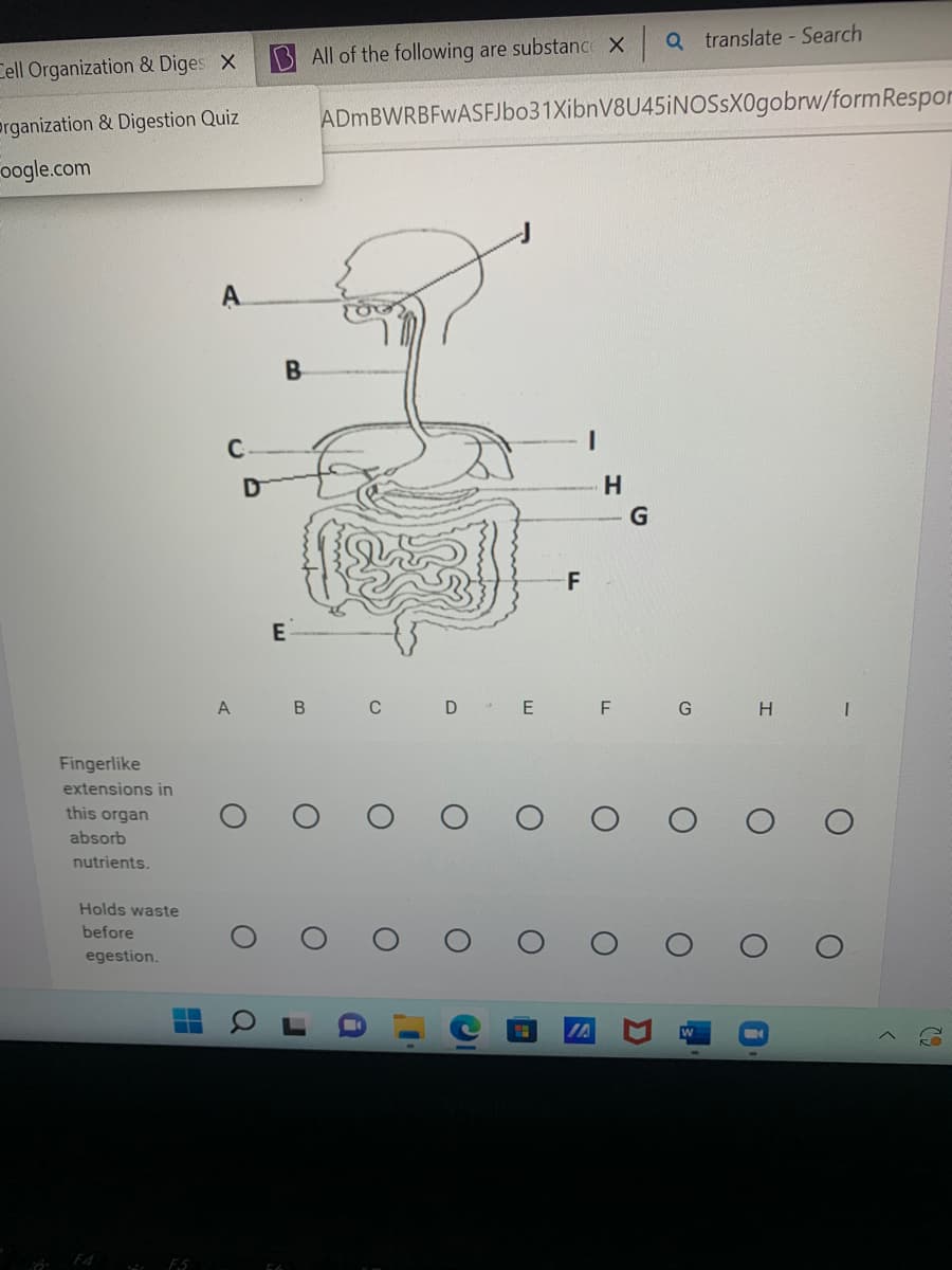 Cell Organization & Diges X
Organization & Digestion Quiz
oogle.com
Fingerlike
extensions in
this organ
absorb
nutrients.
Holds waste
before
egestion.
‒‒
F5
C-
A
D
O
a
All of the following are substance XQ translate - Search
ADmBWRBFwASFJbo31XibnV8U45iNOSSX0gobrw/form Respor
B
H
E
56
B
C
r
O
D
O
O
O
C
F
E F G
O
G
O
H
1
O
DO
D
i
<
(₂