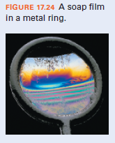 FIGURE 17.24 A soap film
in a metal ring.
