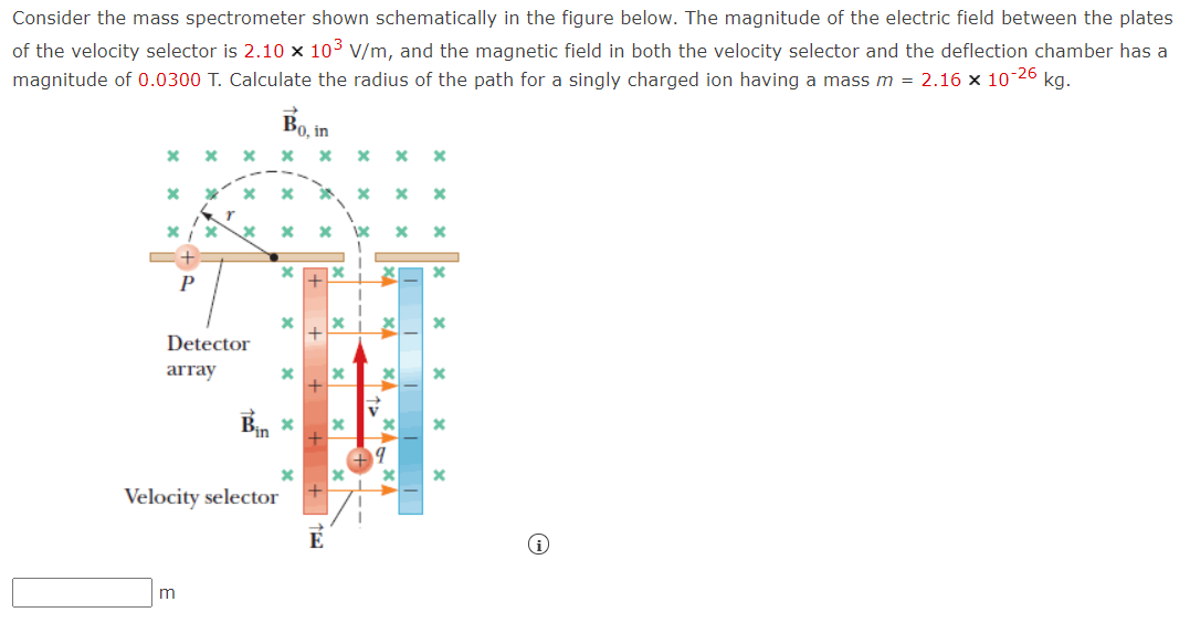 Consider the mass spectrometer shown schematically in the figure below. The magnitude of the electric field between the plates
of the velocity selector is 2.10 x 103 V/m, and the magnetic field in both the velocity selector and the deflection chamber has a
magnitude of 0.0300 T. Calculate the radius of the path for a singly charged ion having a mass m = 2.16 × 10-26 kg.
Bo, in
Detector
array
Pin
Velocity selector
É
m
