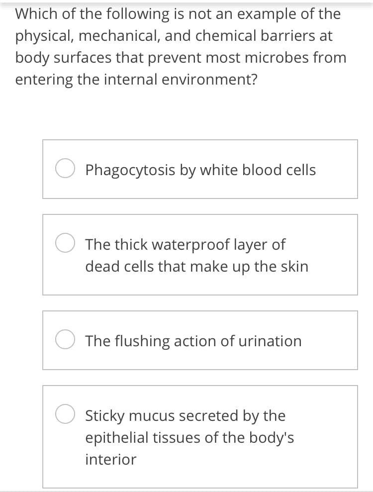 Which of the following is not an example of the
physical, mechanical, and chemical barriers at
body surfaces that prevent most microbes from
entering the internal environment?
Phagocytosis by white blood cells
The thick waterproof layer of
dead cells that make up the skin
The flushing action of urination
Sticky mucus secreted by the
epithelial tissues of the body's
interior
