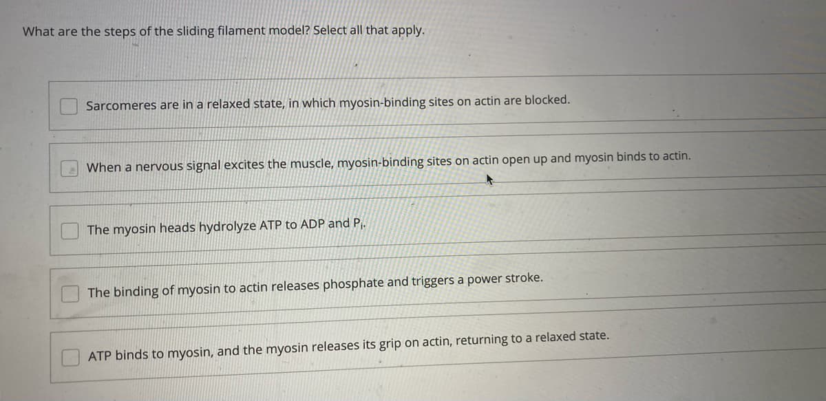 What are the steps of the sliding filament model? Select all that apply.
Sarcomeres are in a relaxed state, in which myosin-binding sites on actin are blocked.
When a nervous signal excites the muscle, myosin-binding sites on actin open up and myosin binds to actin.
The myosin heads hydrolyze ATP to ADP and P.
The binding of myosin to actin releases phosphate and triggers a power stroke.
ATP binds to myosin, and the myosin releases its grip on actin, returning to a relaxed state.
