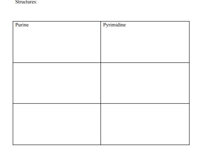 Structures:
Purine
Pyrimidine
