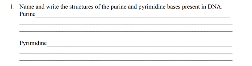 1. Name and write the structures of the purine and pyrimidine bases present in DNA.
Purine
Pyrimidine
